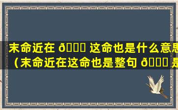 末命近在 🐒 这命也是什么意思（末命近在这命也是整句 🍁 是什么意思）